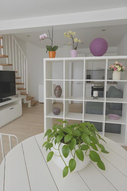 Open-plan living area