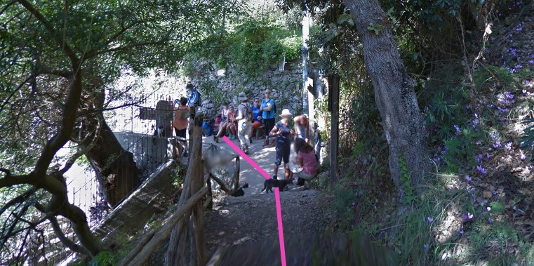 Wooden steps ascending along the hiking trail ridge